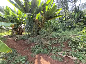 Half Acre Plot for Sale in Runda Near Makini School