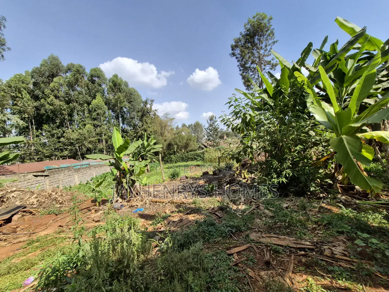 Half Acre Plot for Sale in Runda Near Makini School