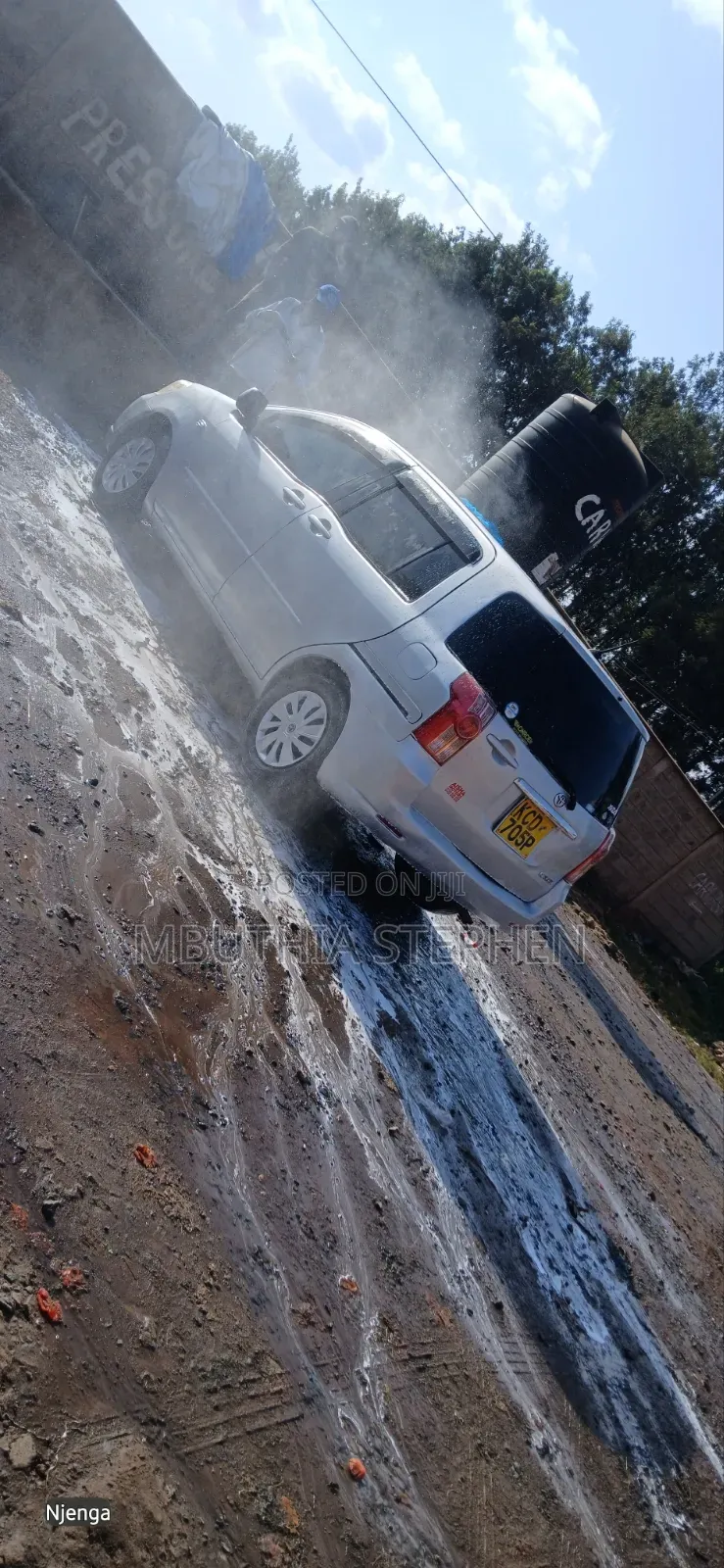 Toyota Raum 2009 Silver