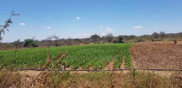 1/4 Acre Plot at KSh – Matuu