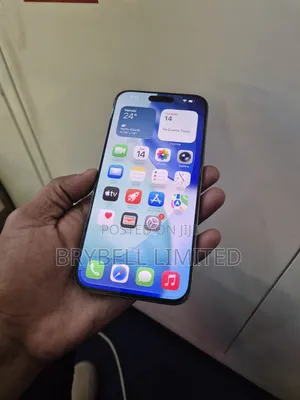 Apple iPhone 15 Pro Max 256 GB Gray