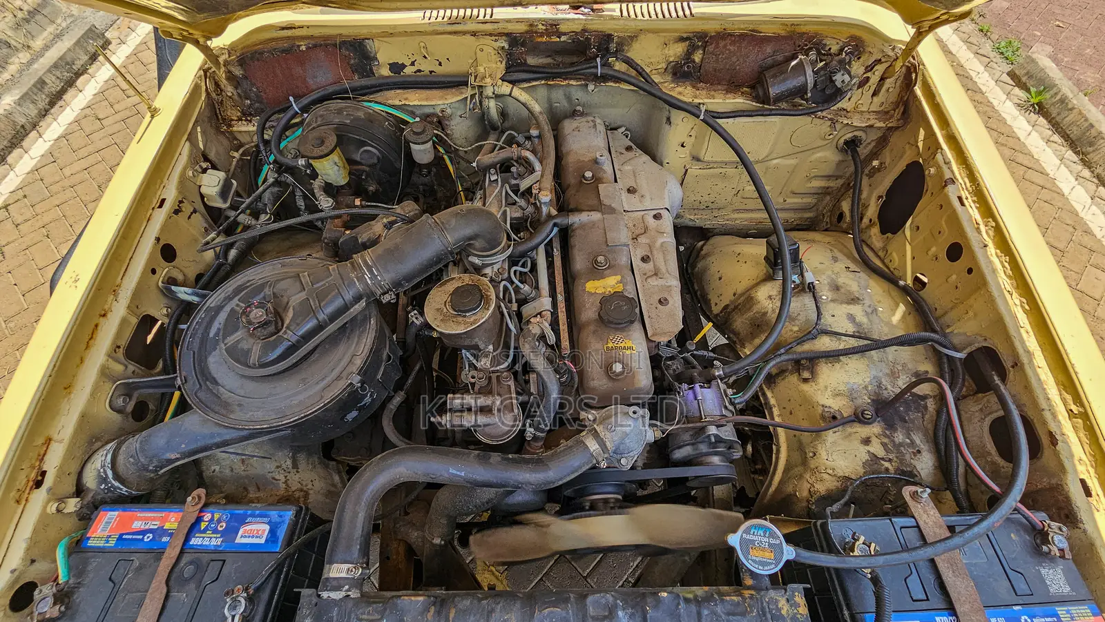 Toyota Land Cruiser Wagon 1981 Beige