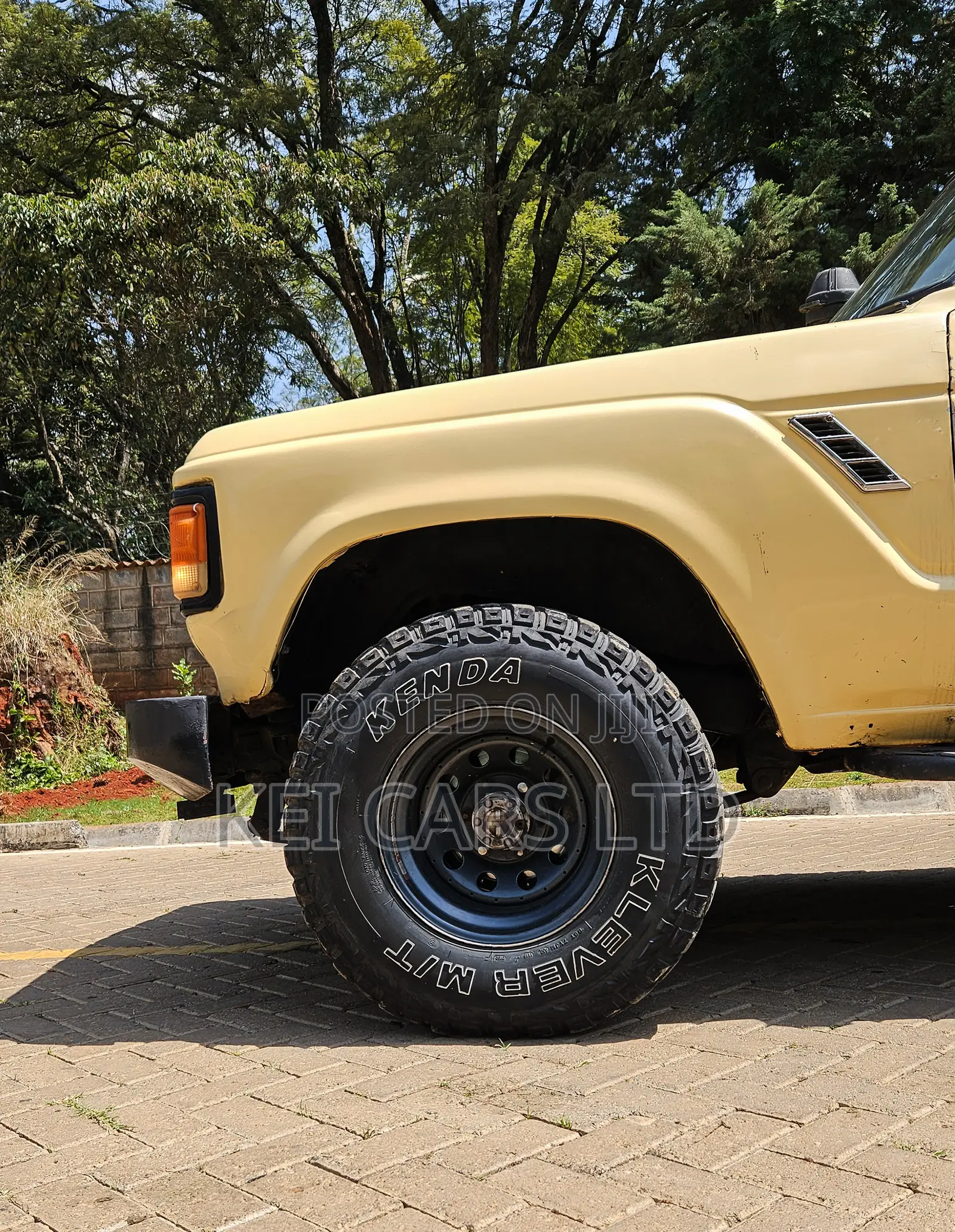 Toyota Land Cruiser Wagon 1981 Beige