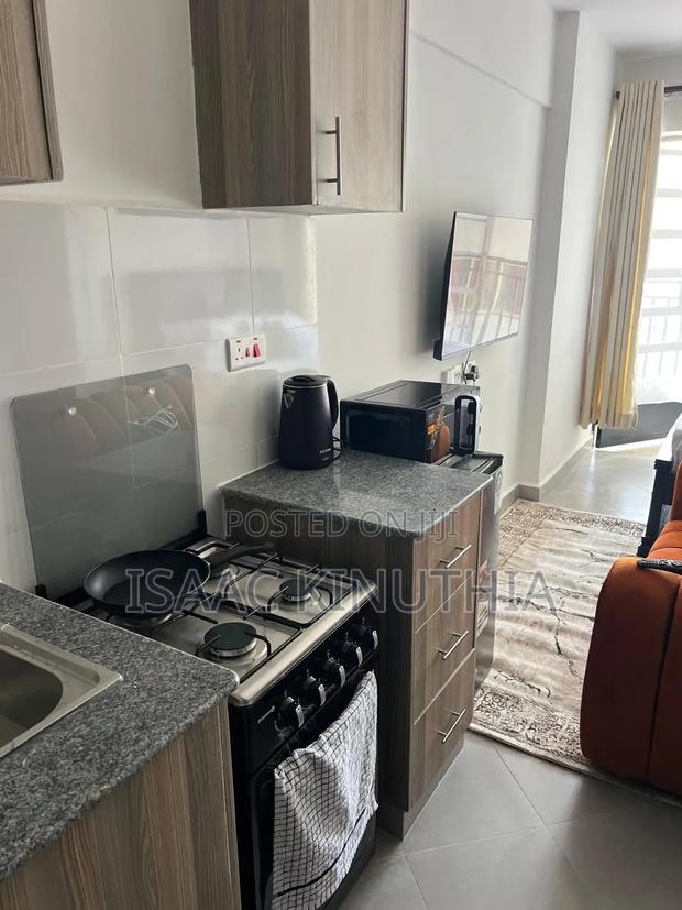 Studio Airbnb in Ngara - thumbnail 3