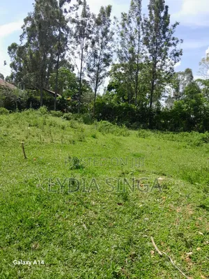 0.25 Hactares Land to Lease or Rent