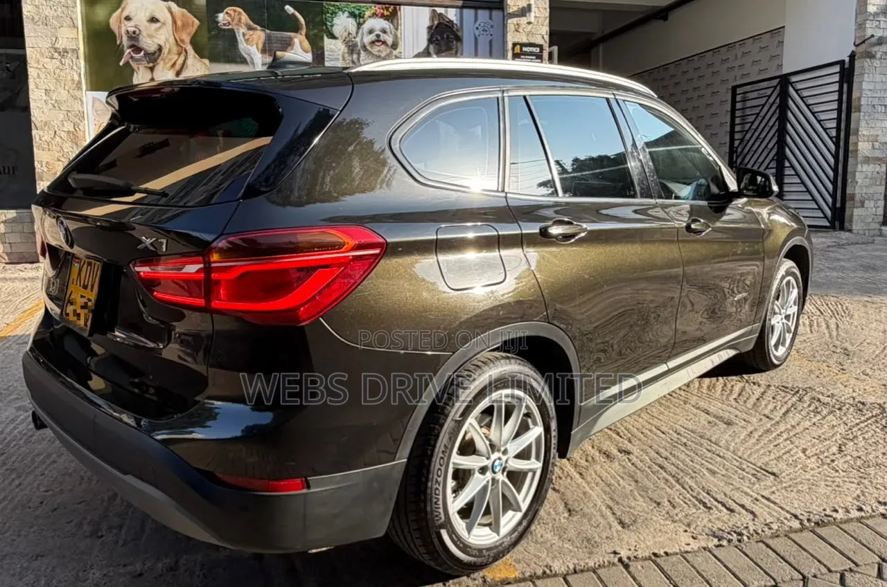BMW X1 2017 Brown