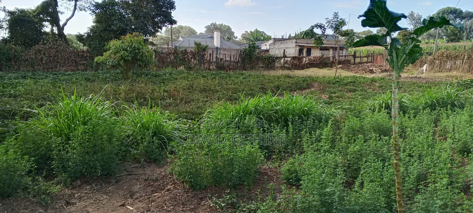 6bdrm Farm House in Kabatini for sale