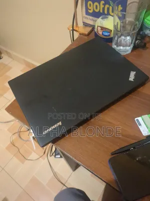 Laptop Lenovo ThinkPad X250 4GB Intel Core i5 HDD 500GB