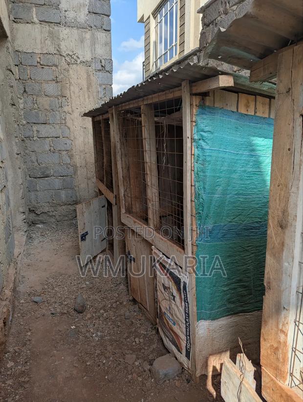 Dog Kennels - thumbnail 2