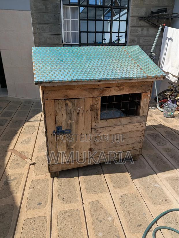 Dog Kennels - thumbnail 4