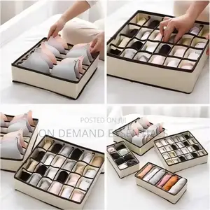 4in 1 Under Garment Organizer