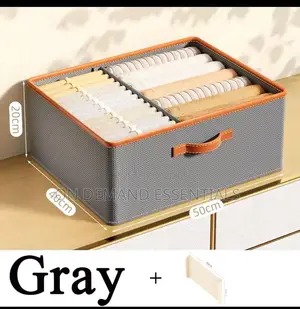 Versatile Foldable Double Compartment Closet Organizer