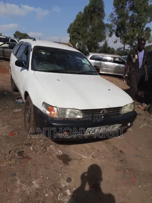 Toyota Corolla Hatchback 1999 White