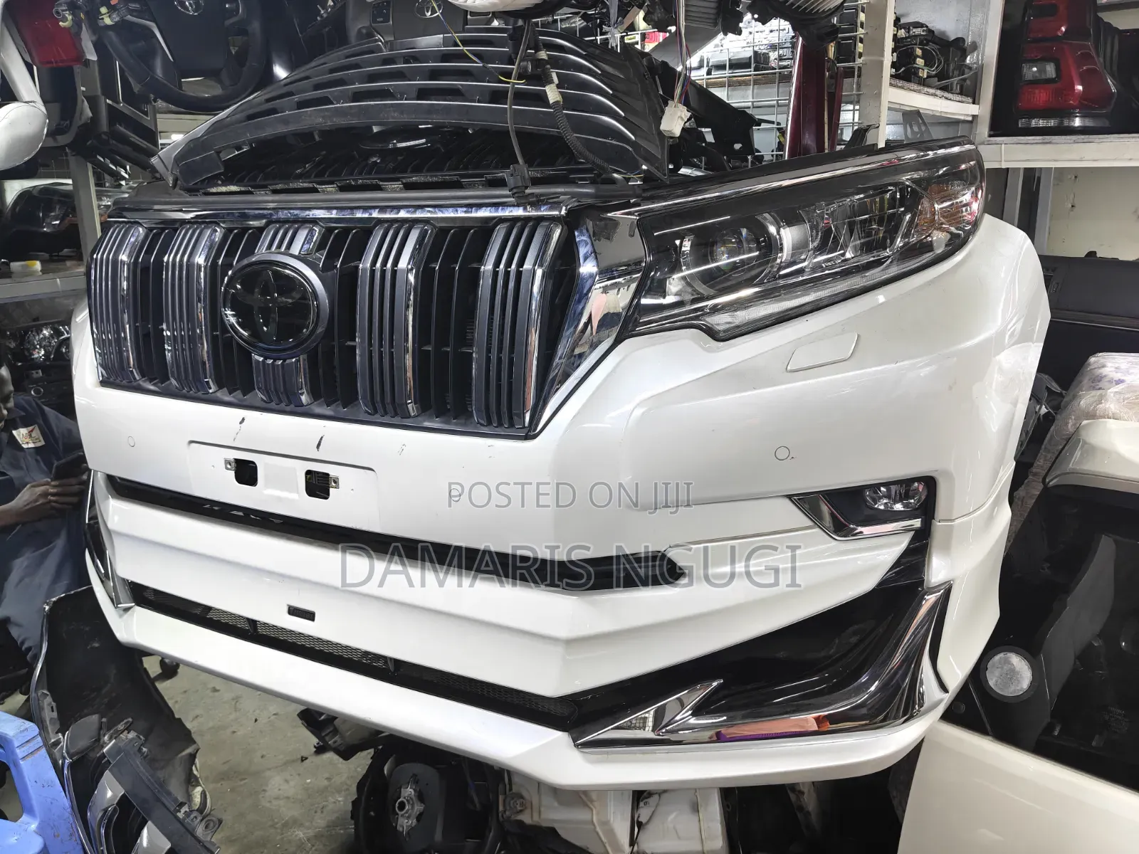 Prado 165 Nosecut