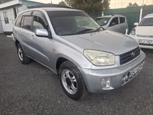 Toyota RAV4 2004 Silver