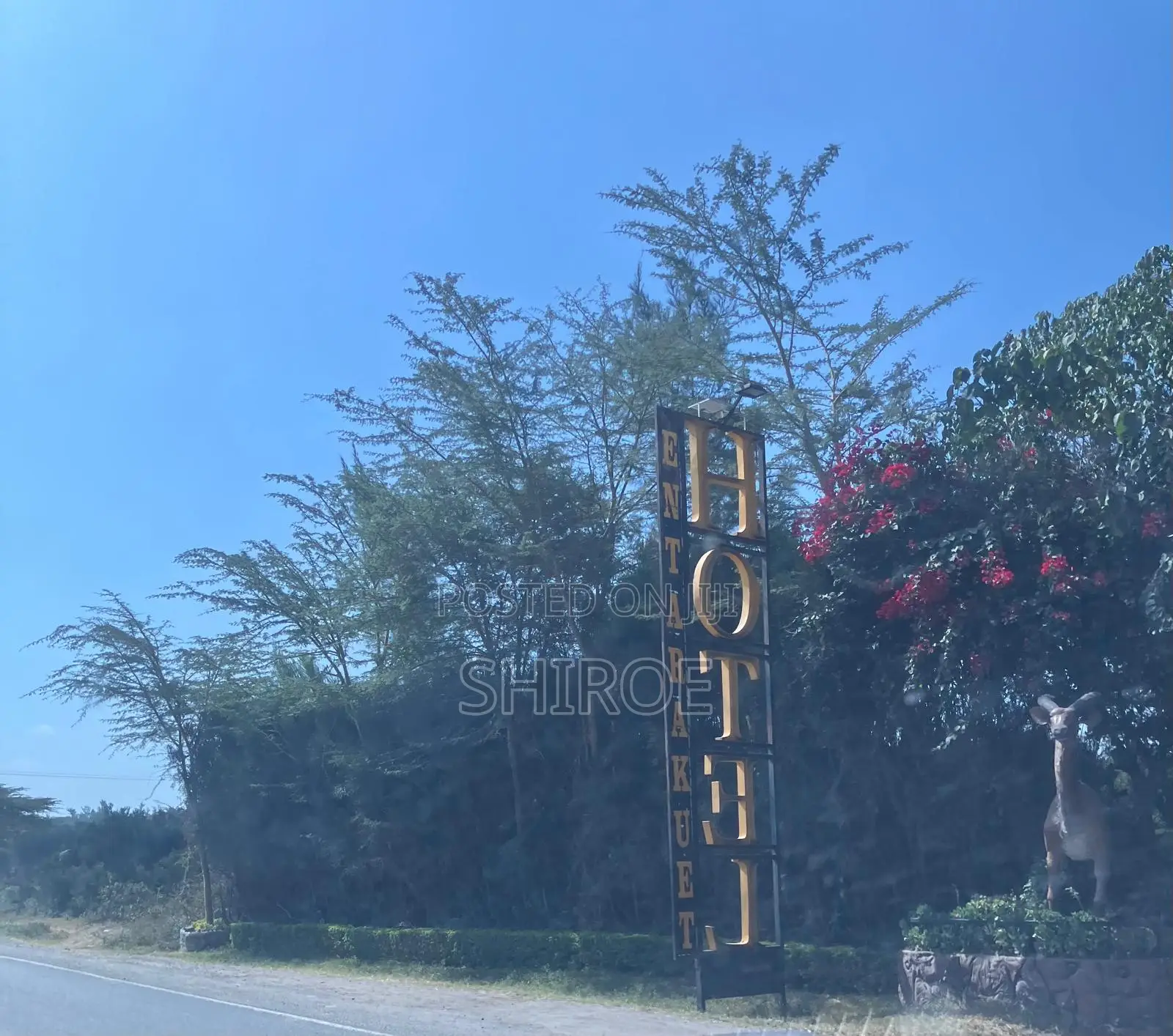 1acre Plots for Sale - Near CITAM Kadolta Resort