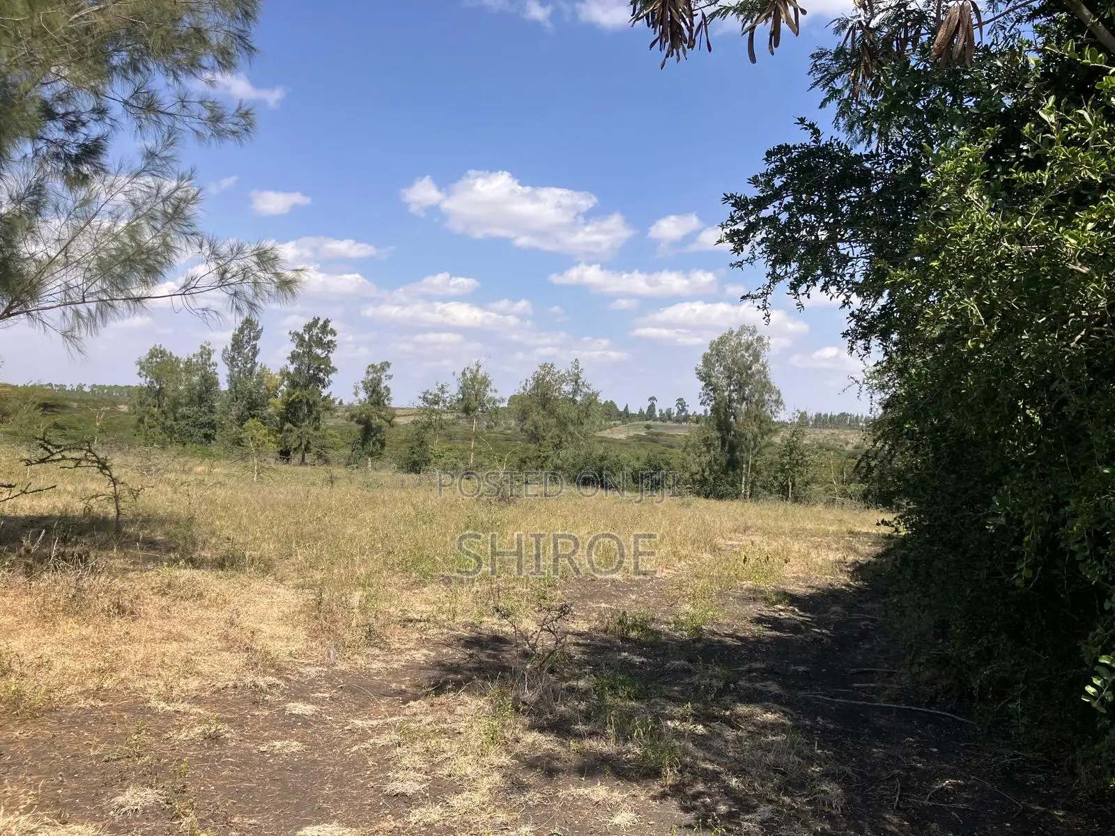 1acre Plots for Sale - Near CITAM Kadolta Resort