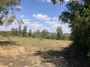 1acre Plots for Sale - Near CITAM Kadolta Resort