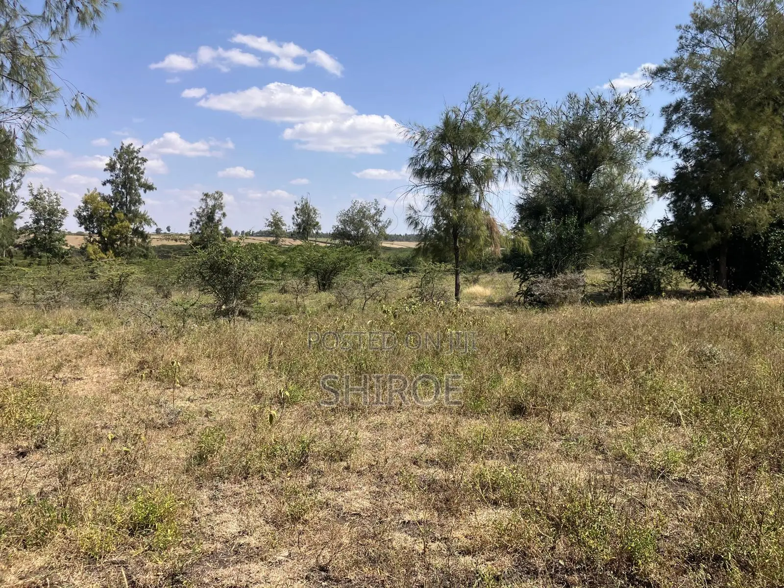 1acre Plots for Sale - Near CITAM Kadolta Resort