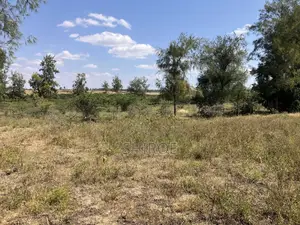 1acre Plots for Sale - Near CITAM Kadolta Resort