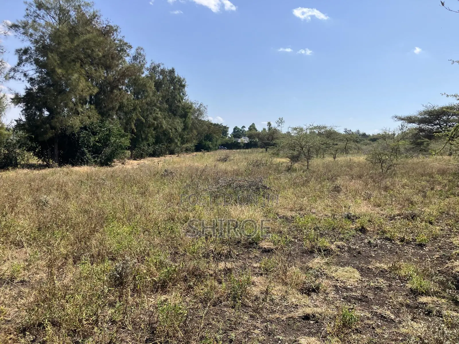 1acre Plots for Sale - Near CITAM Kadolta Resort