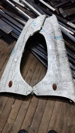 Axela Wings /Fenders 2008-2010