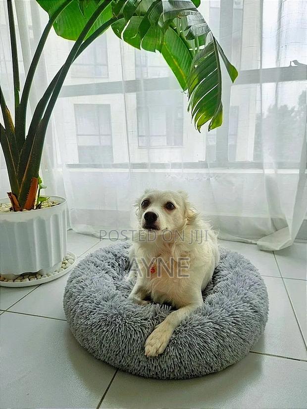 Donut Dog / Cat Bed
