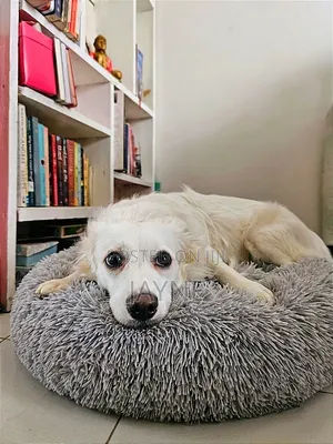Donut Dog / Cat Bed