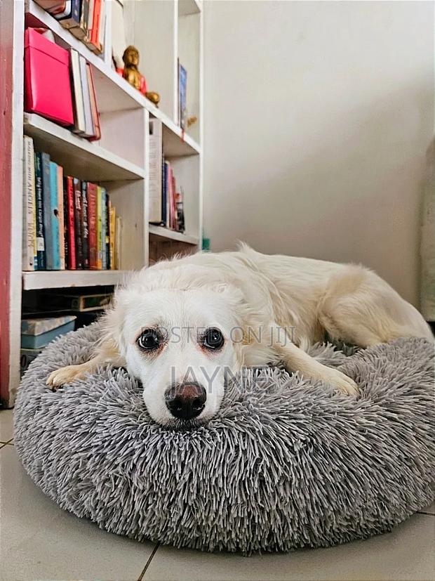 Donut Dog / Cat Bed - thumbnail 2