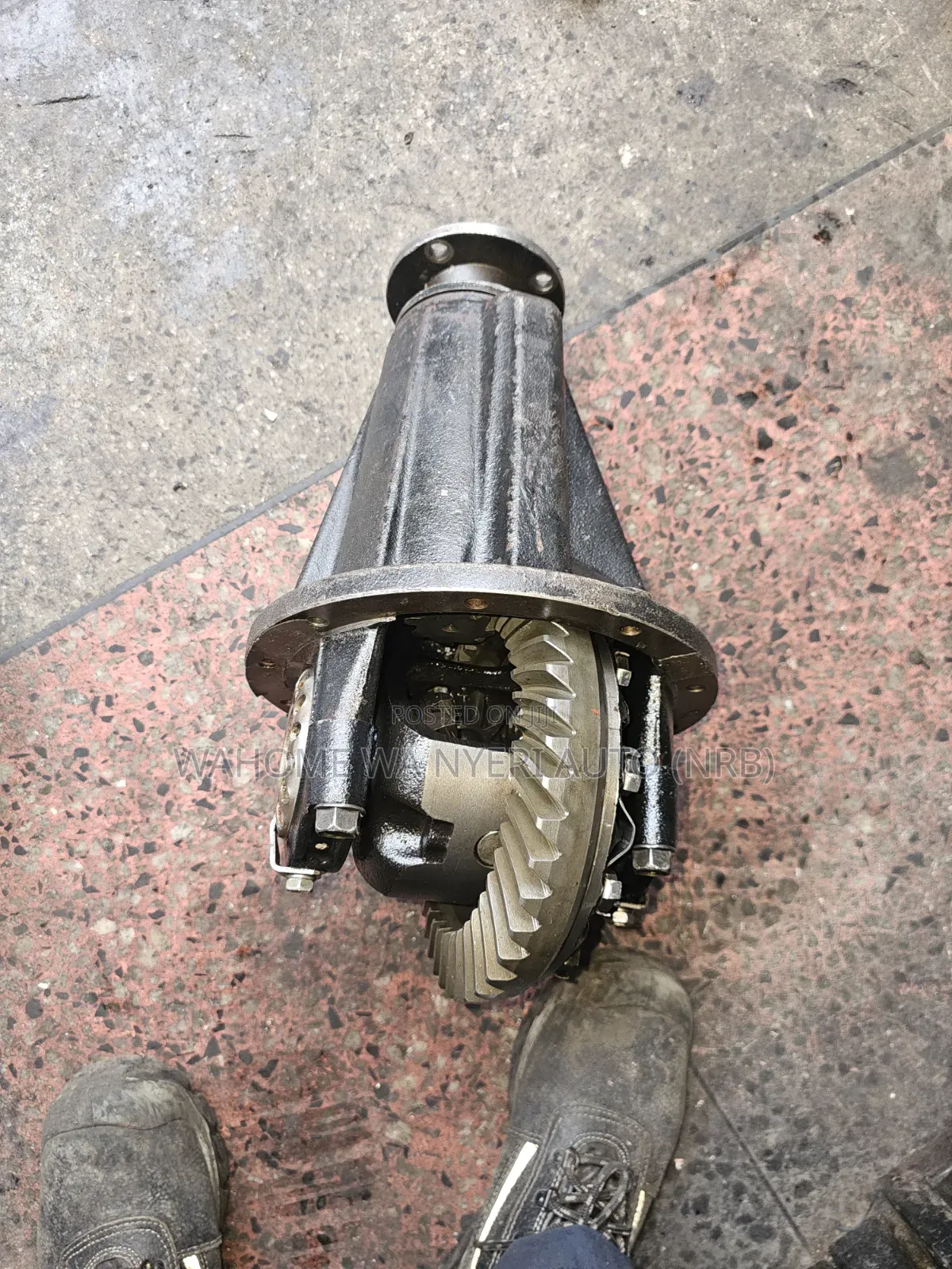 Rear Diff for Shark 5l 481