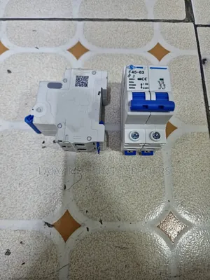 CHINT 2-Pole 63A Miniature Circuit Breaker