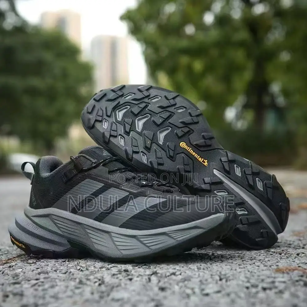 Adidas Terrex Hiking Shoes Featuring GORE-TEX
