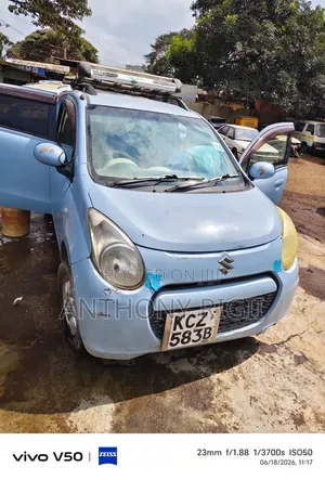 Suzuki Alto 2013 Blue