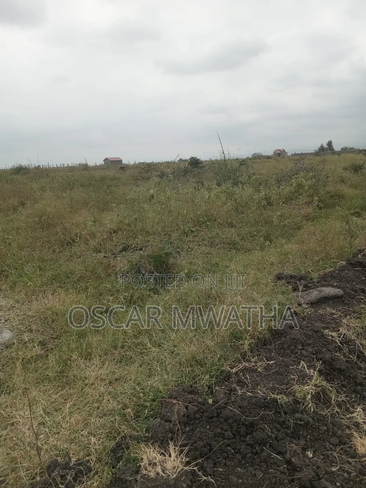 Juja Kwa Murage