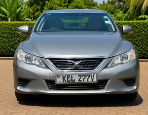 Toyota Mark X 2010 Gray
