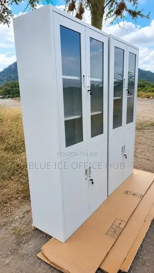 Modern 2-Door Glass Office Filling Cabinet