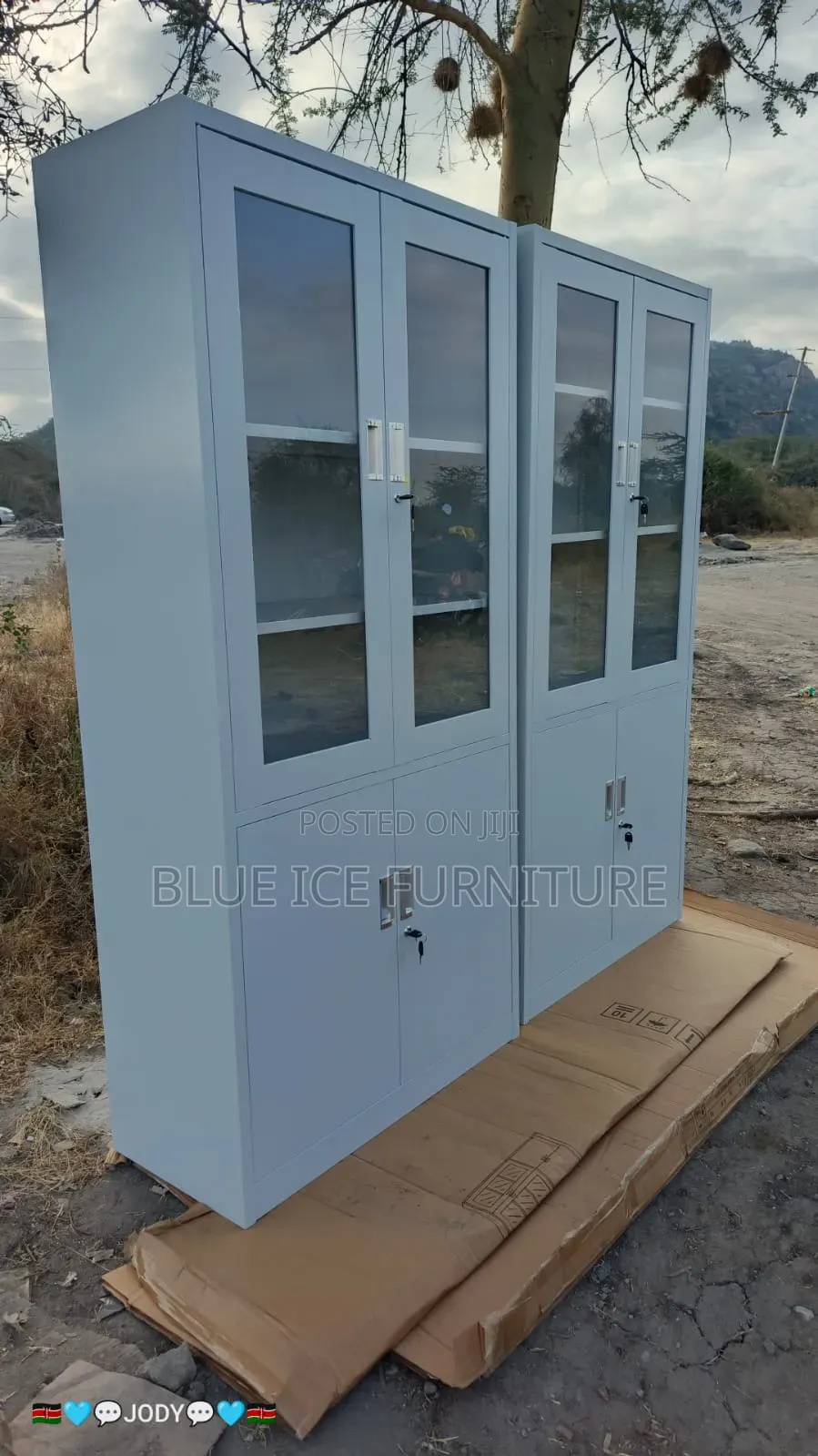 Modern 2-Door Glass Office Filling Cabinet