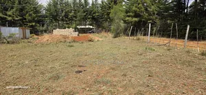 Prime 1⁄4 PLPT for Sale in Kapseret Lemook Eldoret
