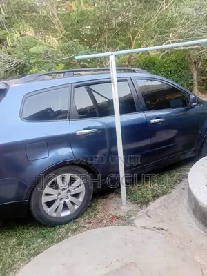 Subaru Tribeca 2010 Blue