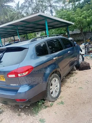 Subaru Tribeca 2010 Blue
