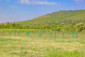 Prime Residential Plots | Free Site Visits