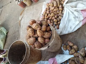 Waru Wholesale and Retail