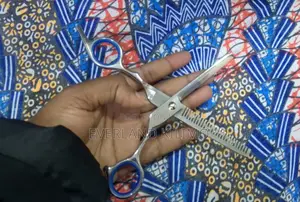 Dogs/Cats Stainless Grooming Scissors