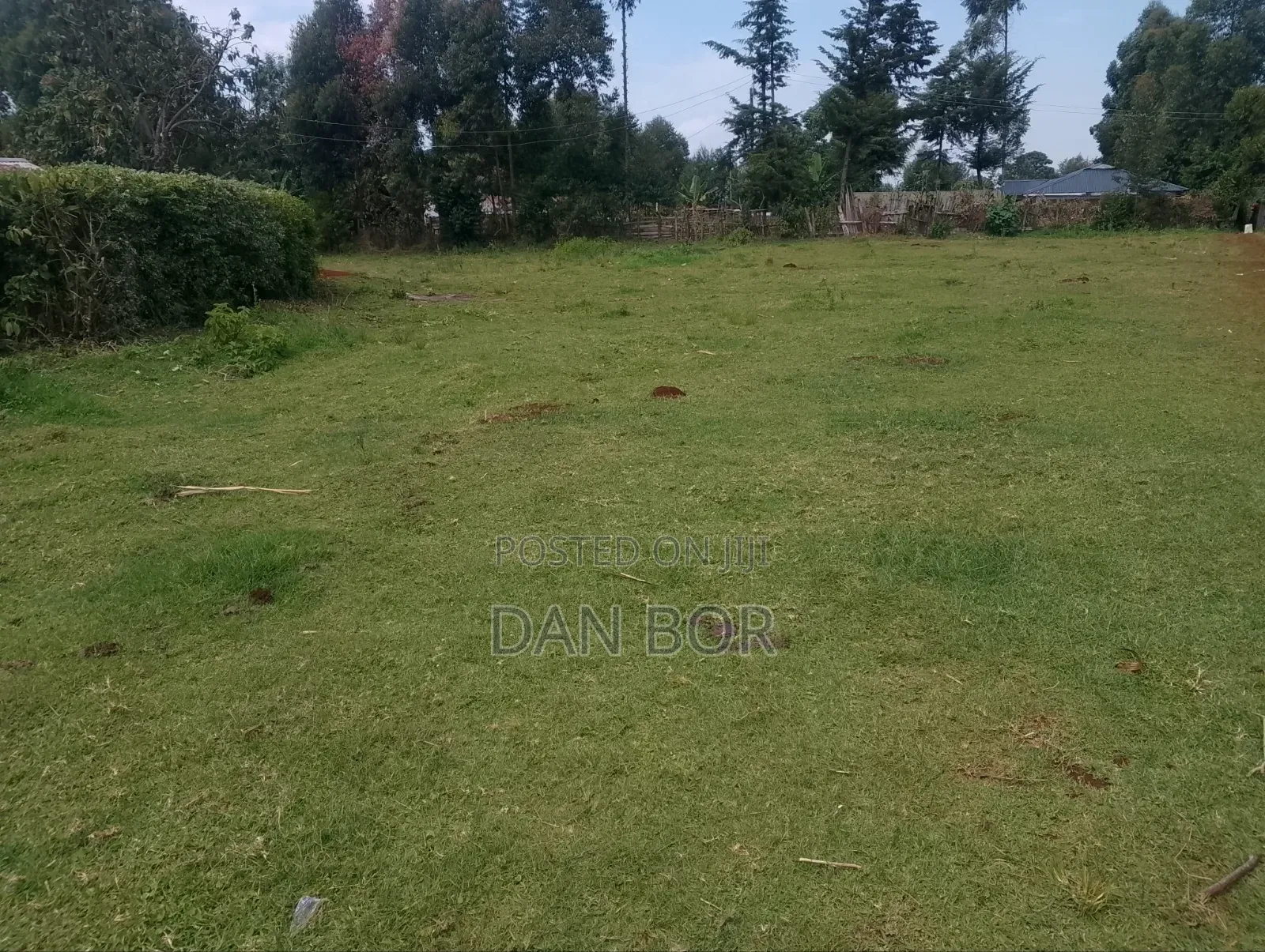 A Plot for Sale
