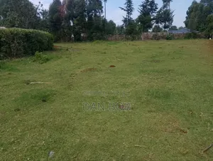 A Plot for Sale