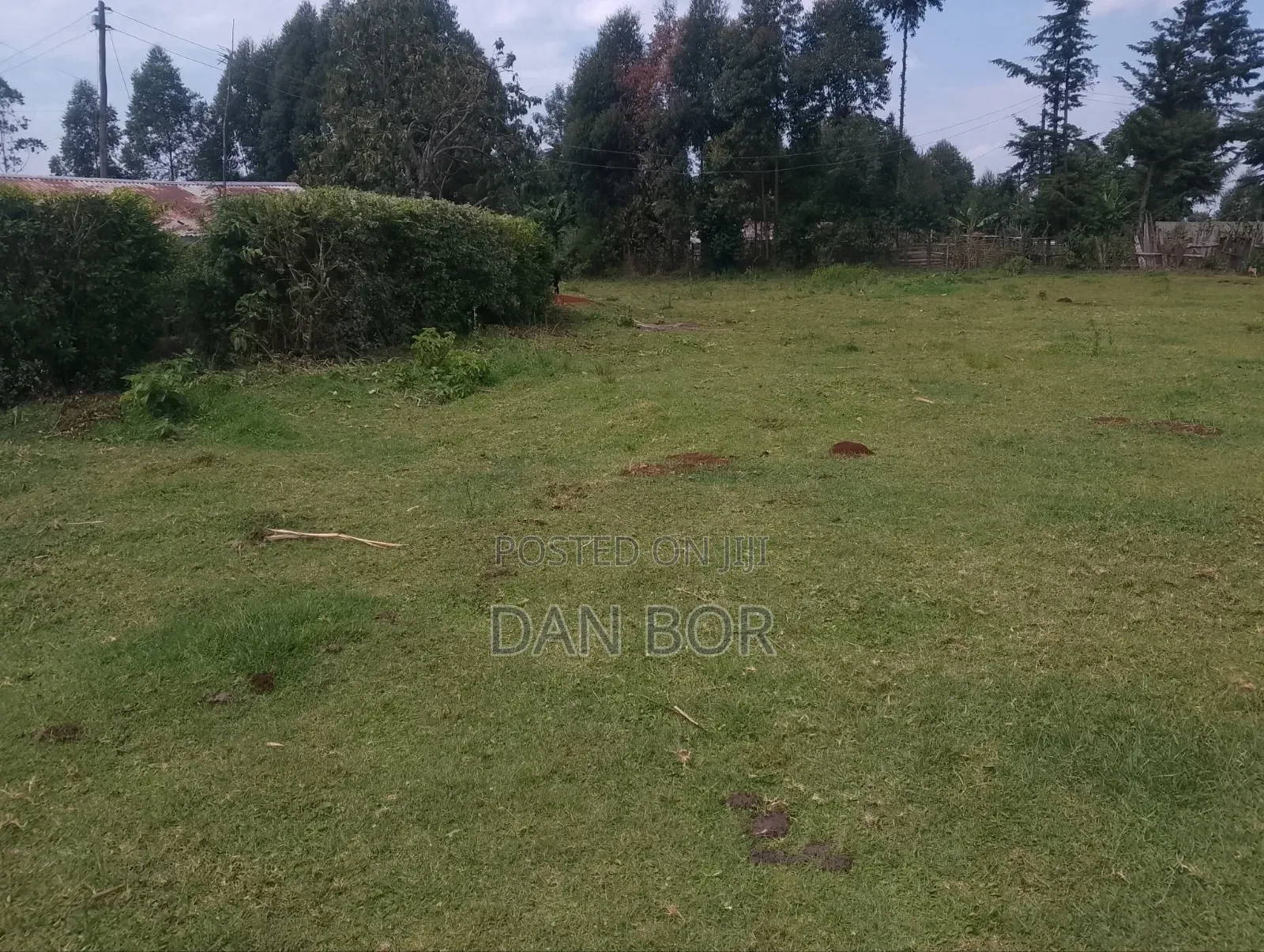A Plot for Sale
