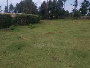 A Plot for Sale