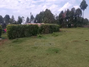 A Plot for Sale