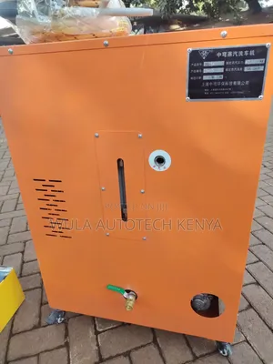 Durable and Low Maintenance Vehicle Steam Cleaner Machine Sunshine