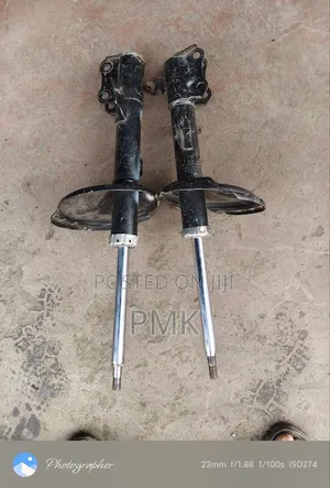 Lexus 450 Rear Shocks